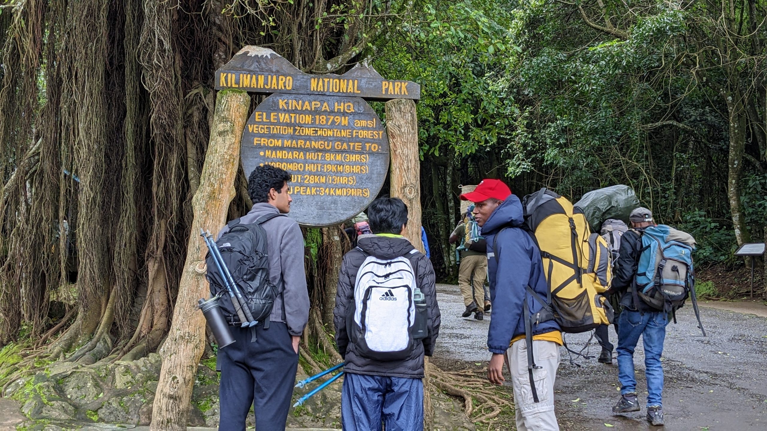 Kilimanjaro